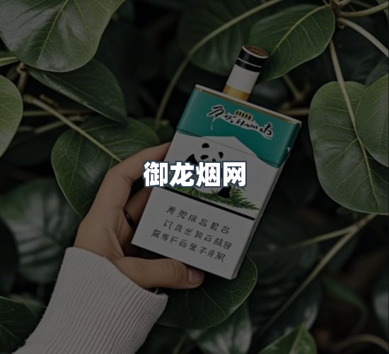 关于御龙烟网